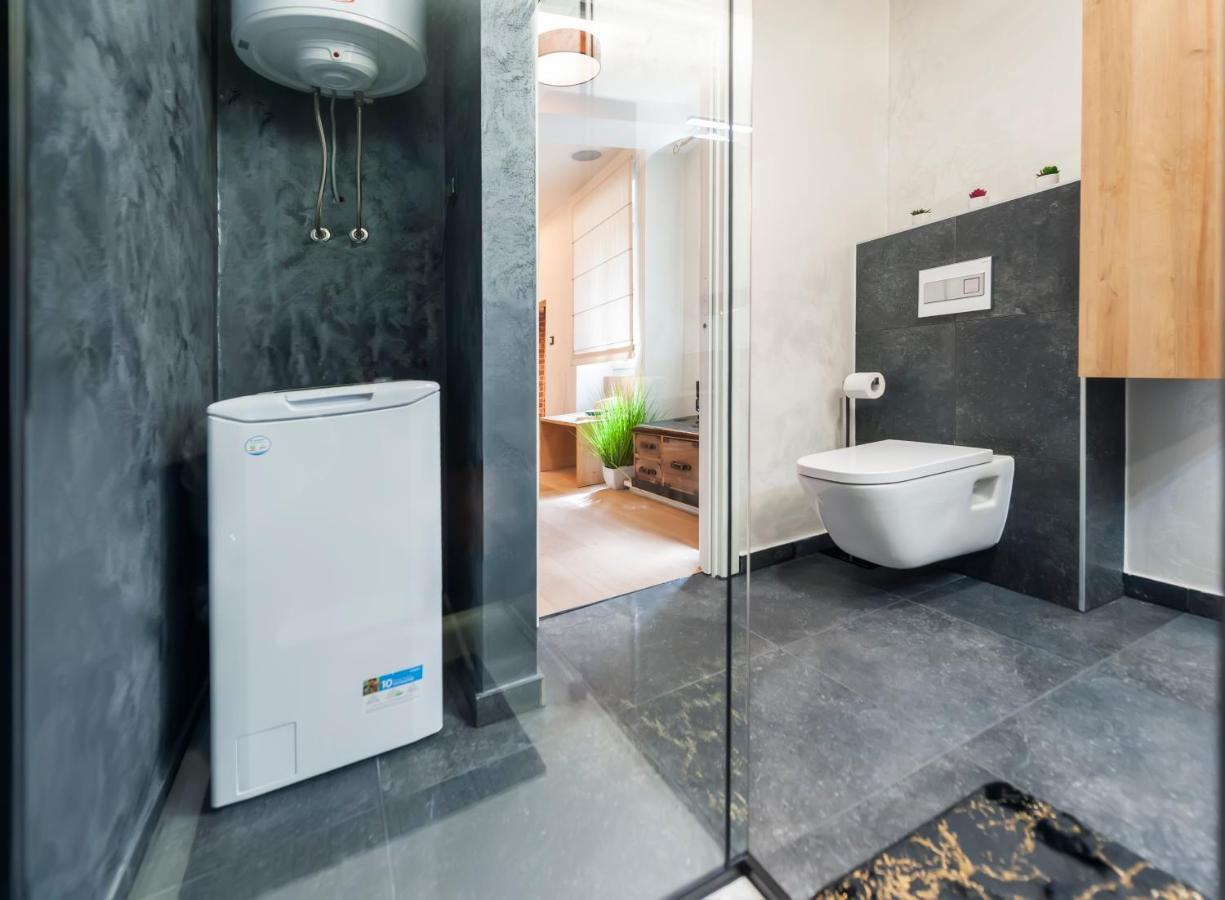 Dc II Downtown Apartment ロヴィニ エクステリア 写真